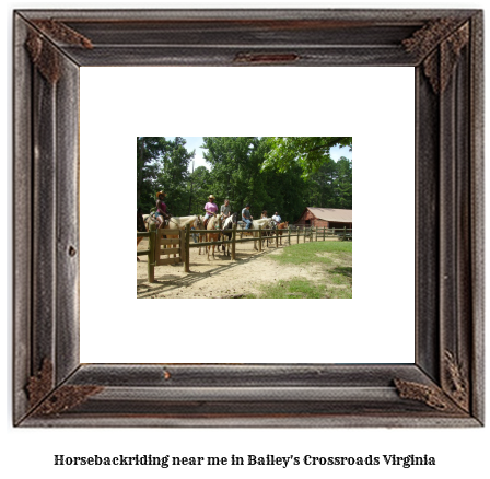 horseback riding near me in Bailey's Crossroads, Virginia